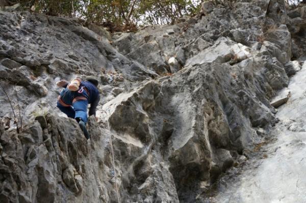 レッツのぼのぼー♪
